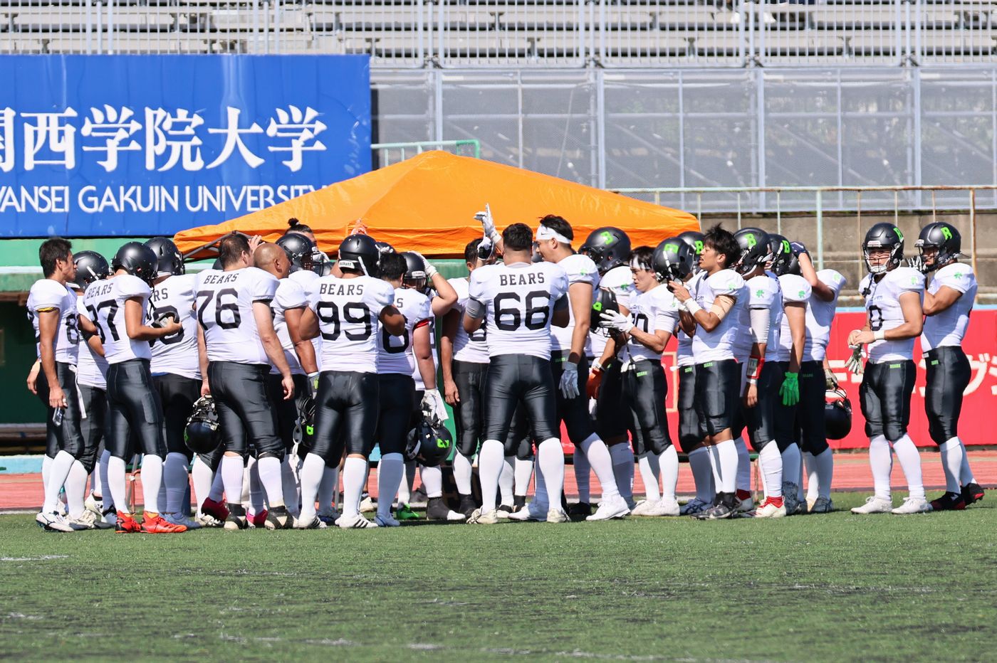 club_bears_header01